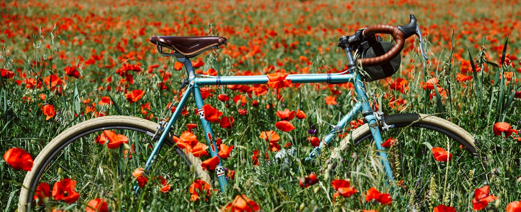 banner-homepage-desktop-06-06